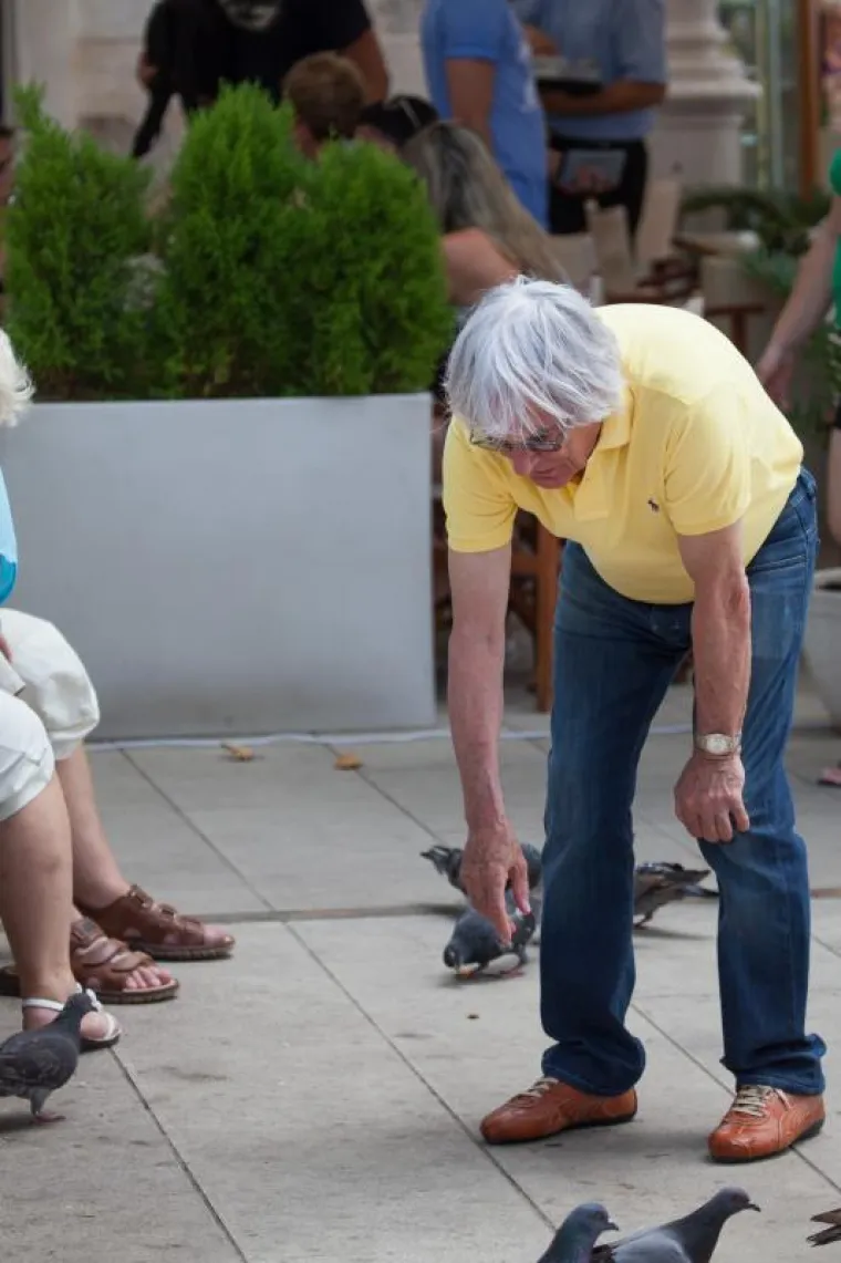 &Scaron;ef Formule 1 po Dubrovniku naganjao - golubove