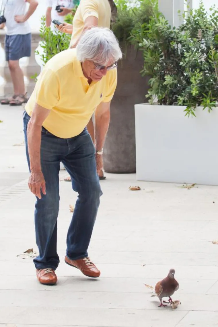 &Scaron;ef Formule 1 po Dubrovniku naganjao - golubove