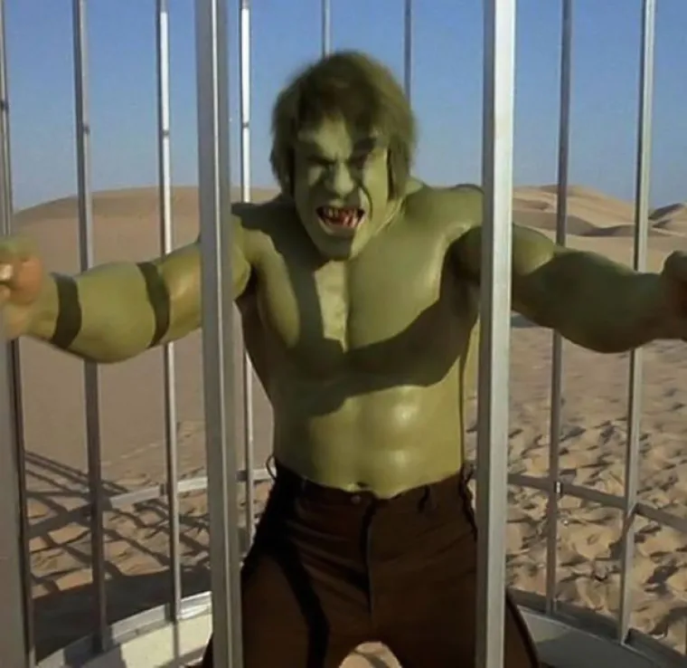 Hulk - Bill Bixby 1966.