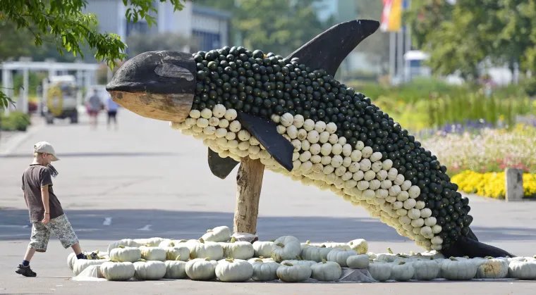Jesenska izložba skulptura ukrašenih tikvicama u Erfurtu