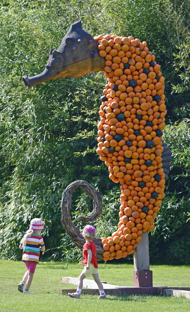 Njemačka: Skulpture ukrašene tikvicama