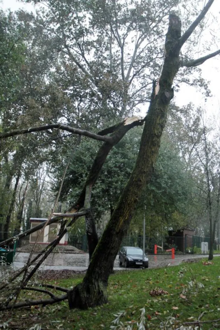 Ciklona Teodor poharala Hrvatsku