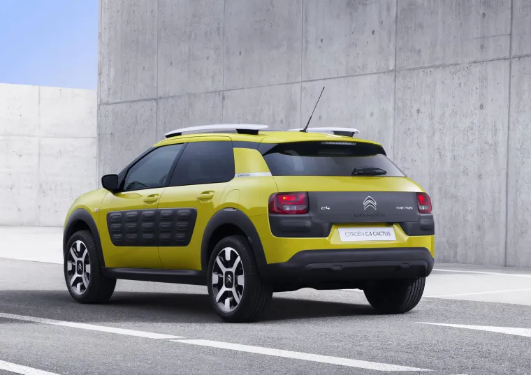 Cactus je stvarno nešto posebno