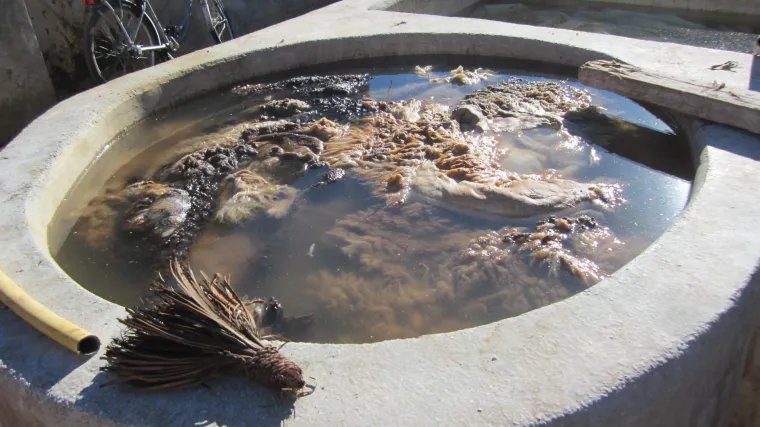 Od strke i gužve do skrivene oaze mira