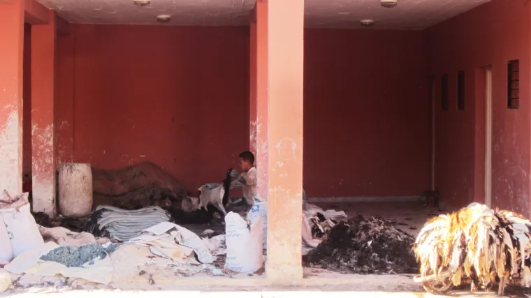 Od strke i gužve do skrivene oaze mira