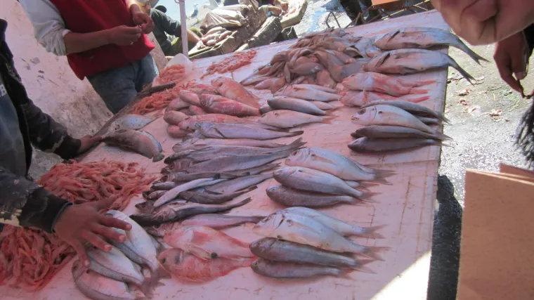 Atlantski biser koji izgleda kao marokanski Dubrovnik