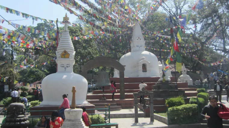 Ne treba čuditi zašto se ovaj kompleks naziva „hram majmuna“ jer i prije samog ulaska u Swayambhunath vidjet ćete velik broj ovih primata na granama i ogradama oko ulaza