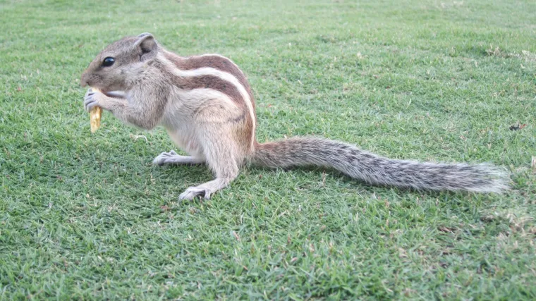 Katmandu &ndash; bučna metropola prepuna čudesnih znamenitosti