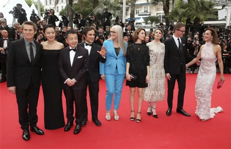 Holivudske ljepotice zavladale crvenim tepihom u Cannesu