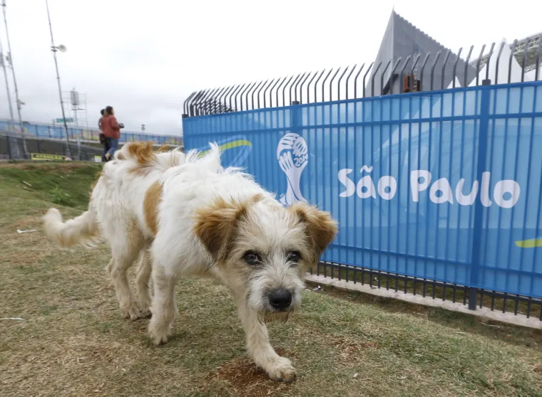 Hrvatski navijači već tulumare po ulicama Sao Paula