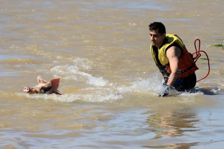 Istok Hrvatske u svibnju je pogodila katastrofalna poplava od koje se taj dio zemlje do danas jo&scaron; nije oporavio.