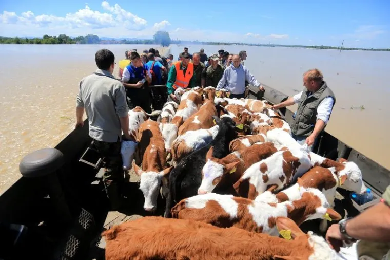 Istok Hrvatske u svibnju je pogodila katastrofalna poplava od koje se taj dio zemlje do danas jo&scaron; nije oporavio.