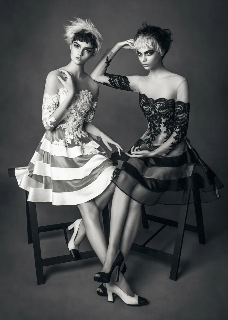 Boudoir Divided Bipolar Cat Disorder