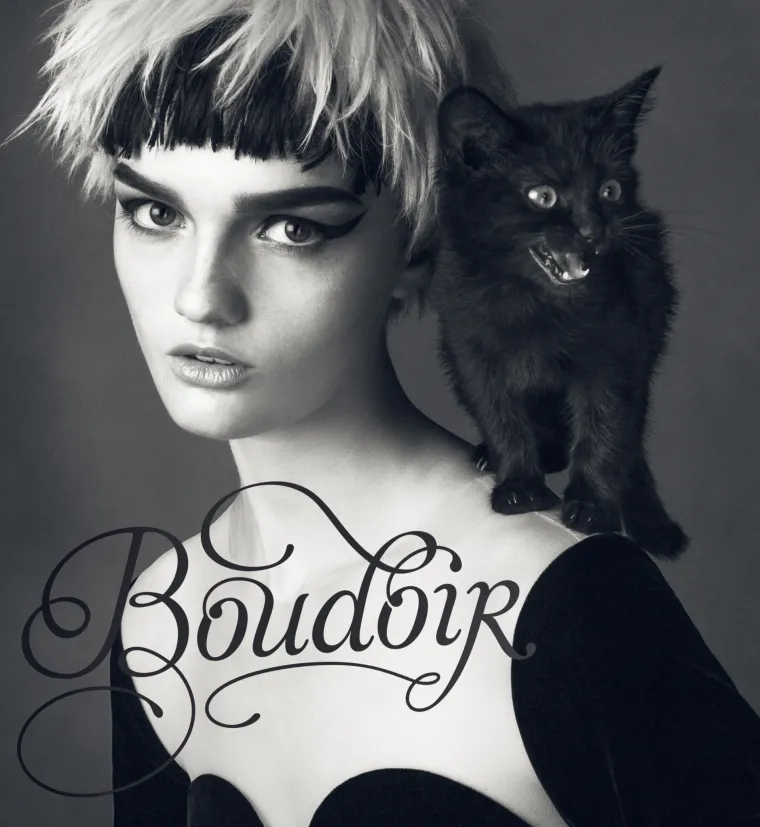 Boudoir Divided Bipolar Cat Disorder