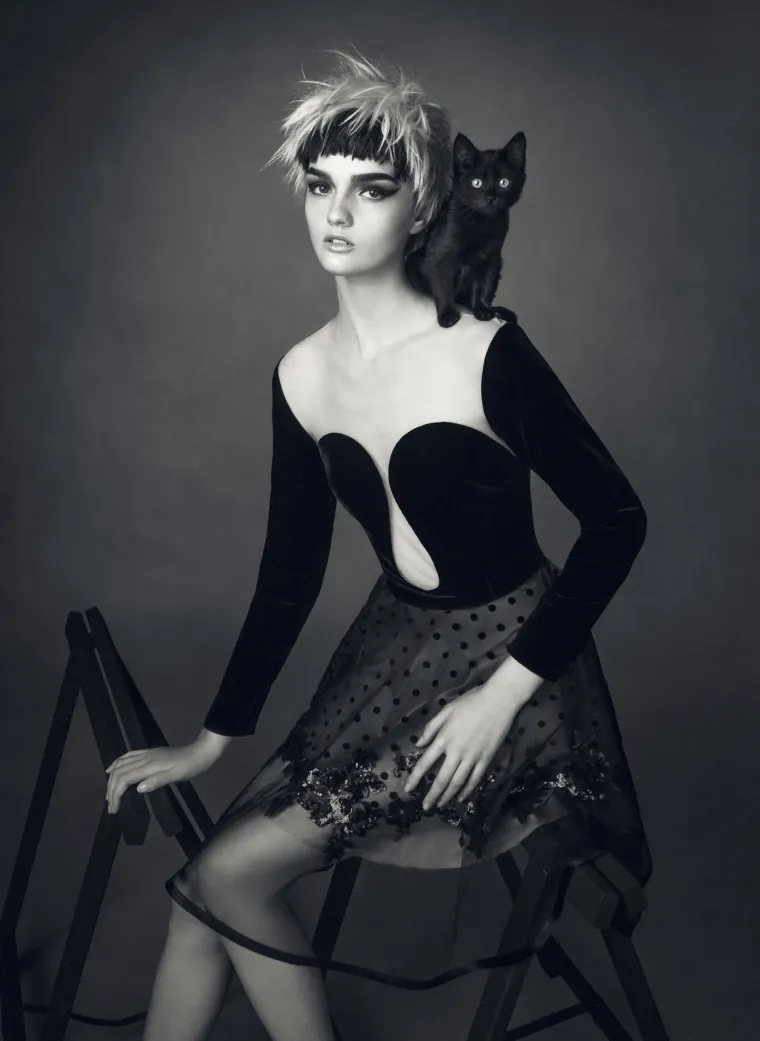 Boudoir Divided Bipolar Cat Disorder