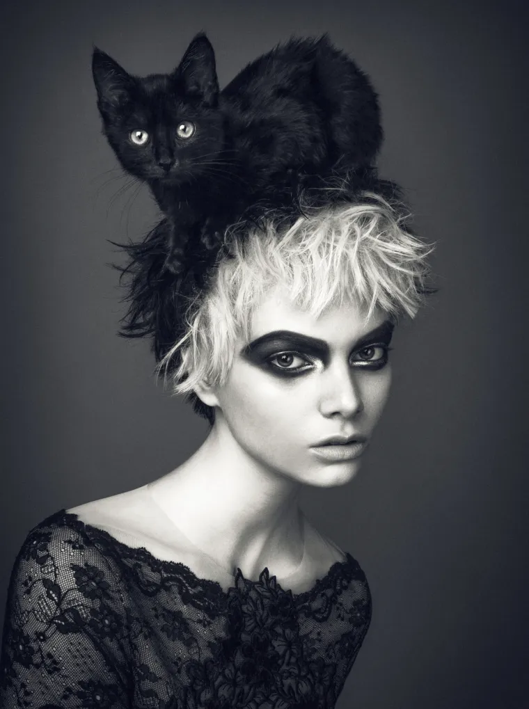 Boudoir Divided Bipolar Cat Disorder