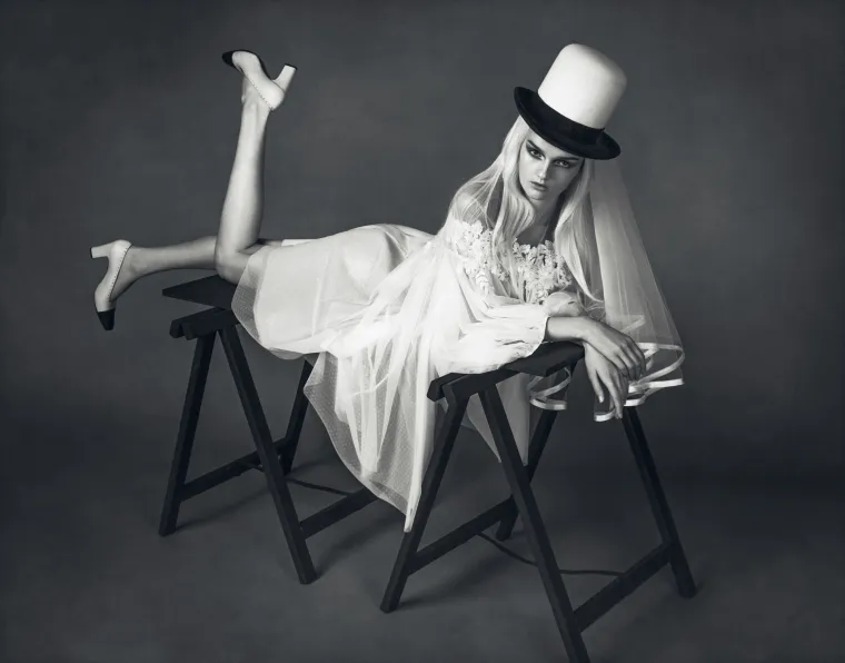 Boudoir Divided Bipolar Cat Disorder