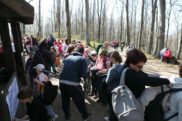 Zdravom aktivno&scaron;ću protiv &scaron;okantnih statistika: 'Navike promijeni, zdravlje pokreni'