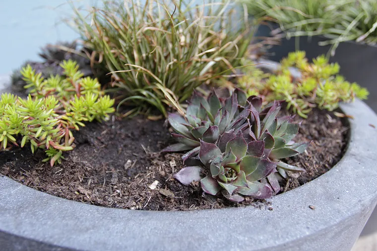 Pogledajte s čim se na&scaron;a vrijedna vrtna patrola ovaj tjedan susrela