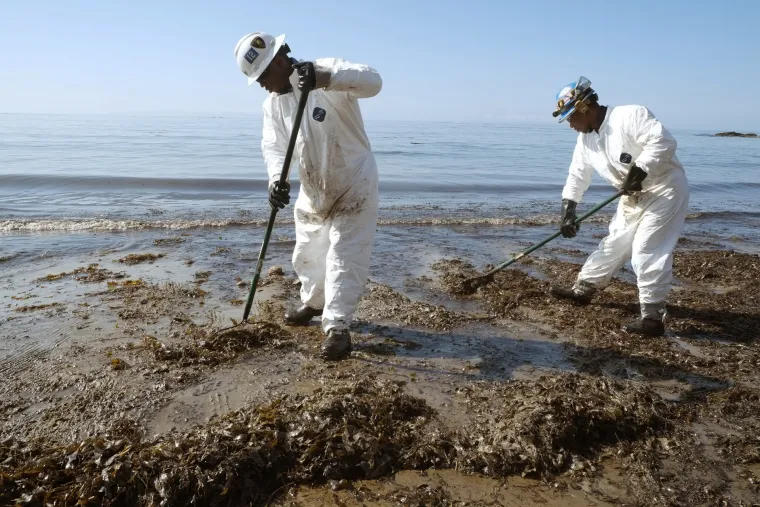 Izlijevanje nafte u Kaliforniji: životinjski svijet trpi stra&scaron;ne posljedice!