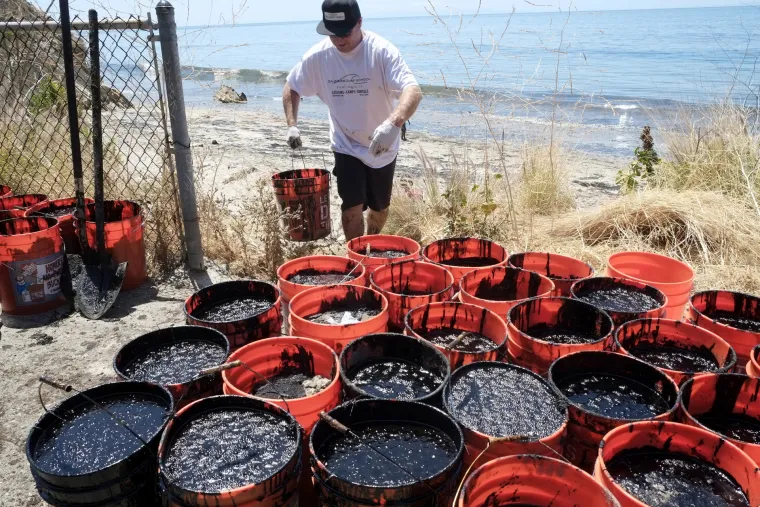 Izlijevanje nafte u Kaliforniji: životinjski svijet trpi stra&scaron;ne posljedice!