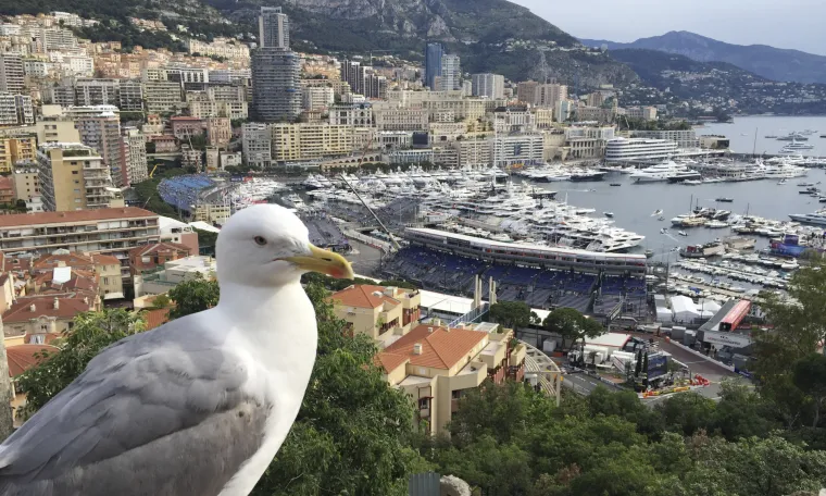 Velika nagrada Monaca