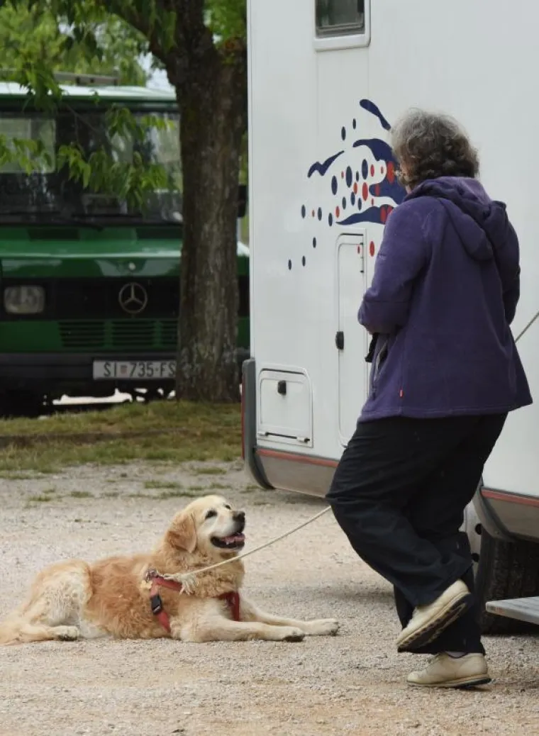 Hrvoje Jelavic/PIXSELL