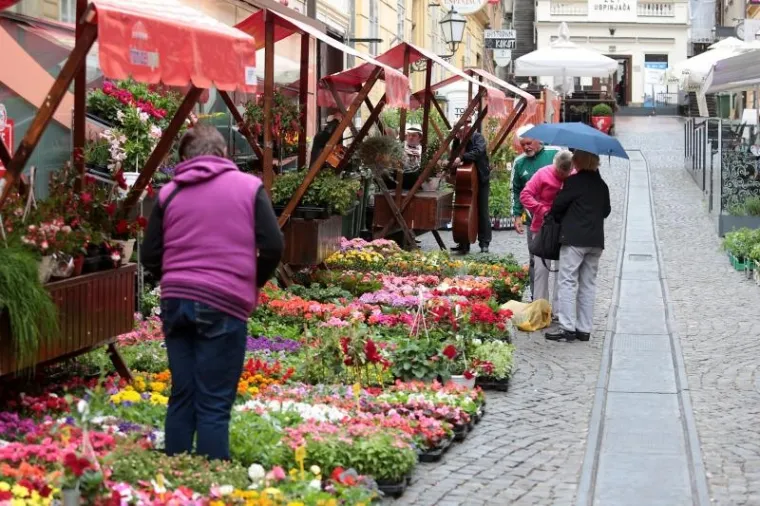 Floraart ponovno u centru Zagreba