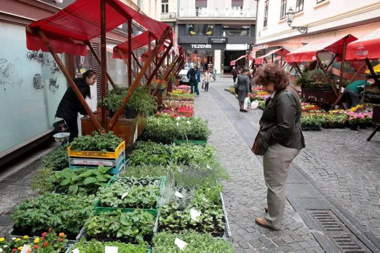 Floraart ponovno u centru Zagreba