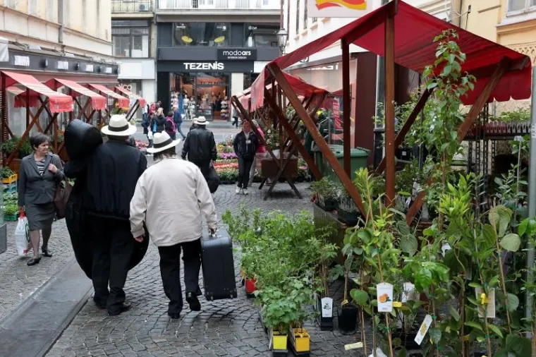 Floraart ponovno u centru Zagreba