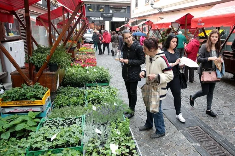 Floraart ponovno u centru Zagreba