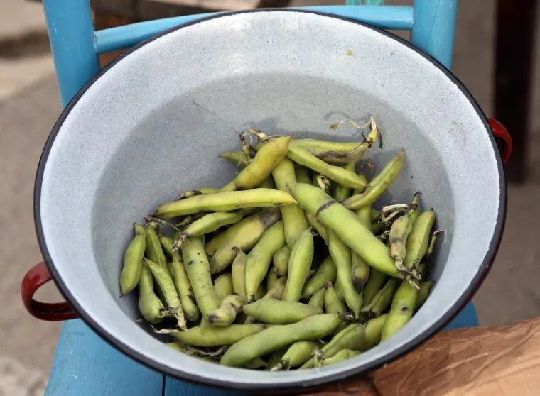 Vodice: Spiza po starinski - vrime boba