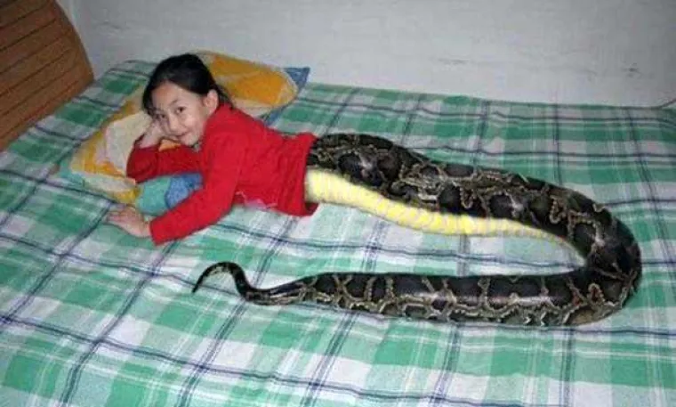 Te&scaron;ki kriminal Photoshopa: Njima nema pomoći