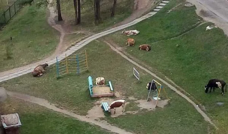 FOTKE KOJE ZBUNJUJU I UZNEMIRUJU: Golotinja, seks, trash i alkohol - sve na jednom mjestu