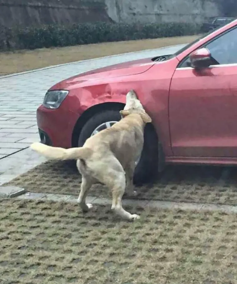 Pouka ove priče je očita.  Ne ponašajte se prema drugima na način na koji ne biste željeli da se drugi ponašaju prema vama.