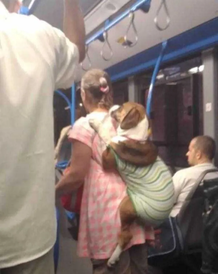 JOŠ MALO PROKLETSTVA: Tko nam je kriv kad se moramo voziti u javnom prijevozu