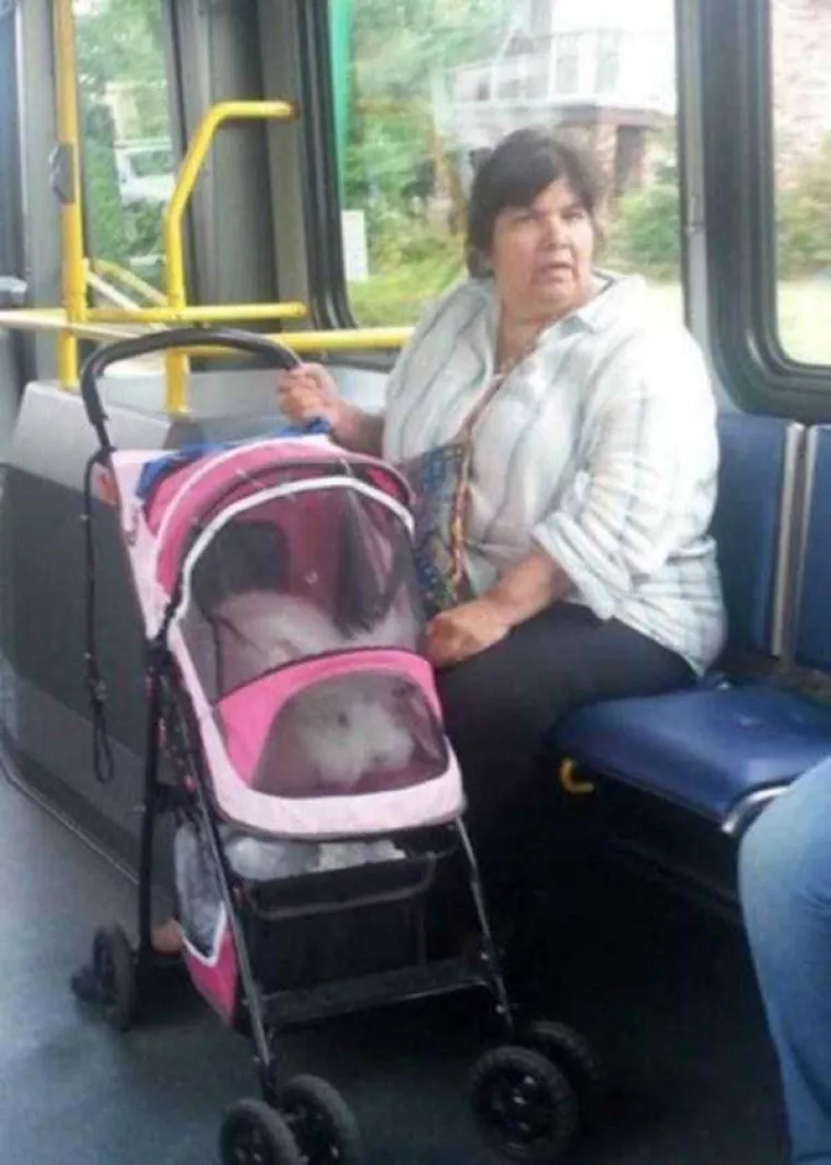 JO&Scaron; MALO PROKLETSTVA: Tko nam je kriv kad se moramo voziti u javnom prijevozu