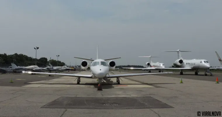 North Shore Animal League of America  najveći je svjetski azil za životinje u kojem se životinje ne ubijaju. Ovako izgleda jedna tipična 'dostava' životinja spa&scaron;enih iz &scaron;interaja.