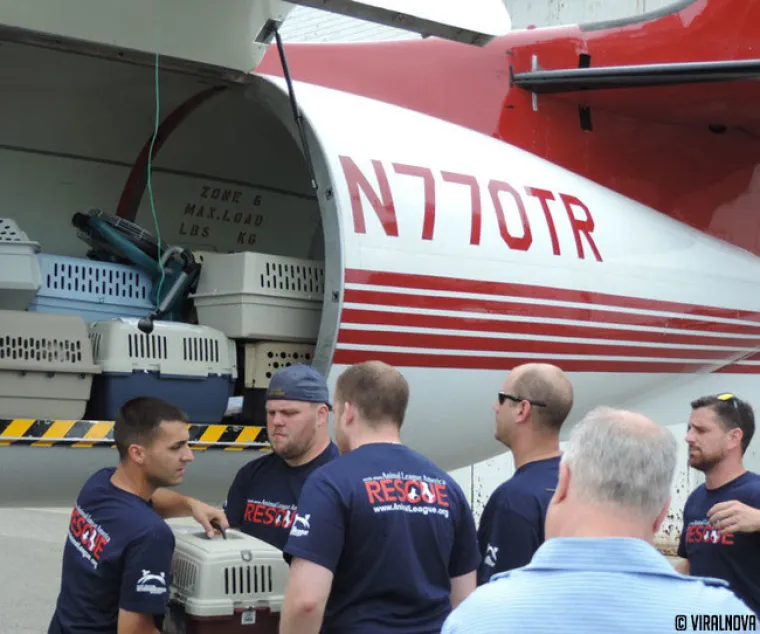 North Shore Animal League of America  najveći je svjetski azil za životinje u kojem se životinje ne ubijaju. Ovako izgleda jedna tipična 'dostava' životinja spa&scaron;enih iz &scaron;interaja.