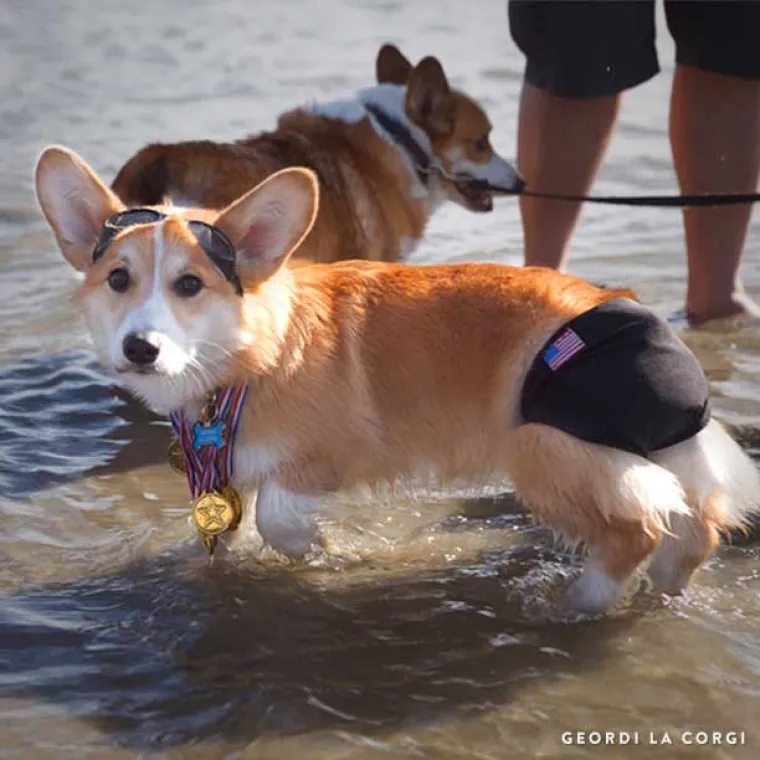 Uske kupaće gaćice možda ba&scaron; i nisu za svakoga pa dobro razmislite &scaron;to ćete ove sezone nositi na moru.
