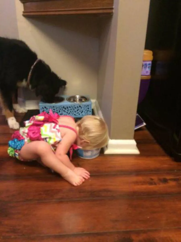 ROĐENI ZA SVINJARIJE:  Oni rade ono što vama nikada ne bi palo na pamet (barem ne u svjesnom stanju)