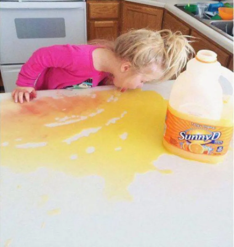 ROĐENI ZA SVINJARIJE:  Oni rade ono &scaron;to vama nikada ne bi palo na pamet (barem ne u svjesnom stanju)