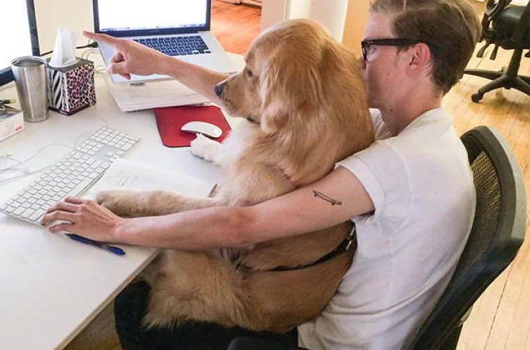 GURANJE, SLINJENJE, PRDUCKANJE: To ne mogu razumjeti samo oni koji ne vole pse