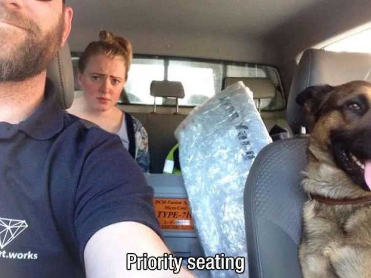 GURANJE, SLINJENJE, PRDUCKANJE: To ne mogu razumjeti samo oni koji ne vole pse