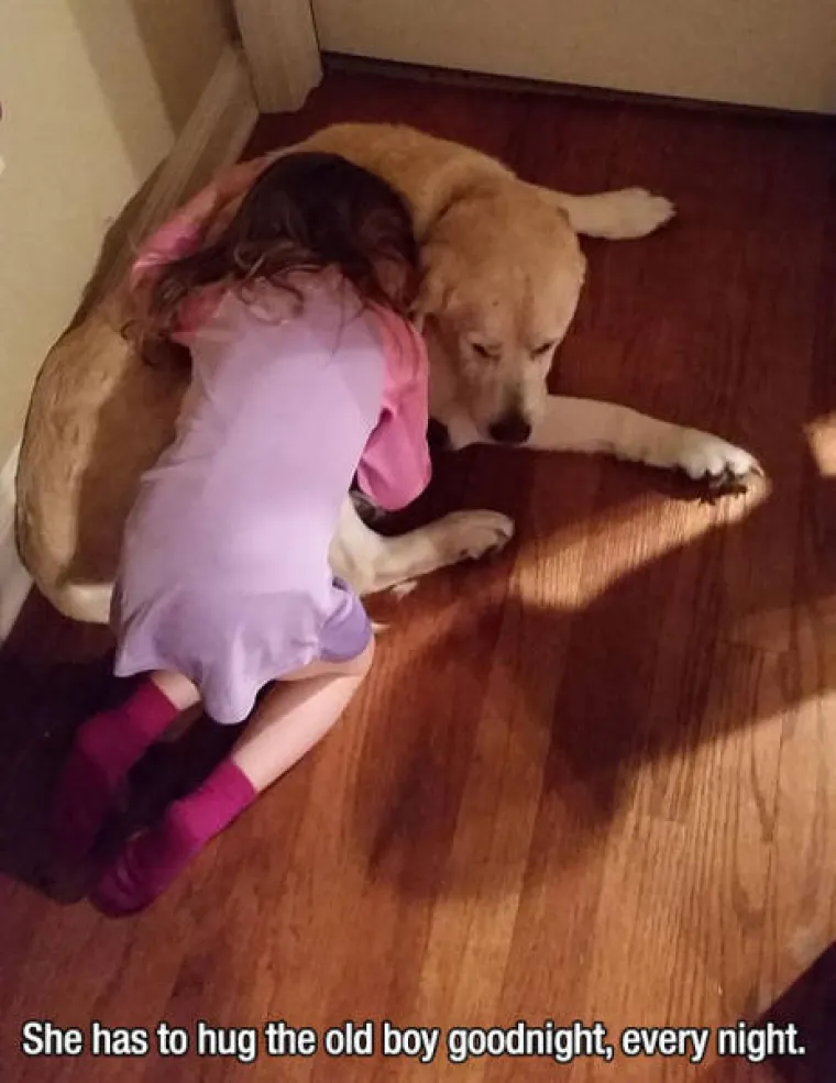 GURANJE, SLINJENJE, PRDUCKANJE: To ne mogu razumjeti samo oni koji ne vole pse