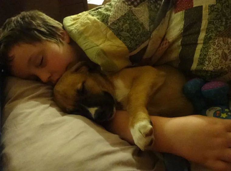 GURANJE, SLINJENJE, PRDUCKANJE: To ne mogu razumjeti samo oni koji ne vole pse