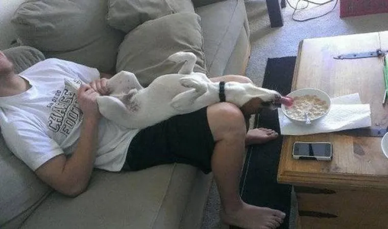 GURANJE, SLINJENJE, PRDUCKANJE: To ne mogu razumjeti samo oni koji ne vole pse