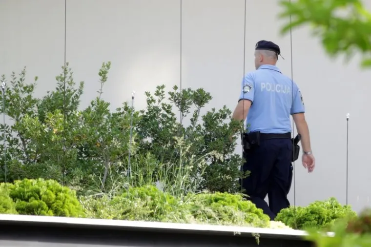 Čedo Prodanović kod Mamića