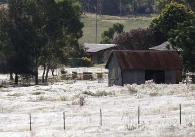 GADOSTI PRVE VRSTE: Dobrodošli u Australiju, jeste li spremni na strašne prizore?