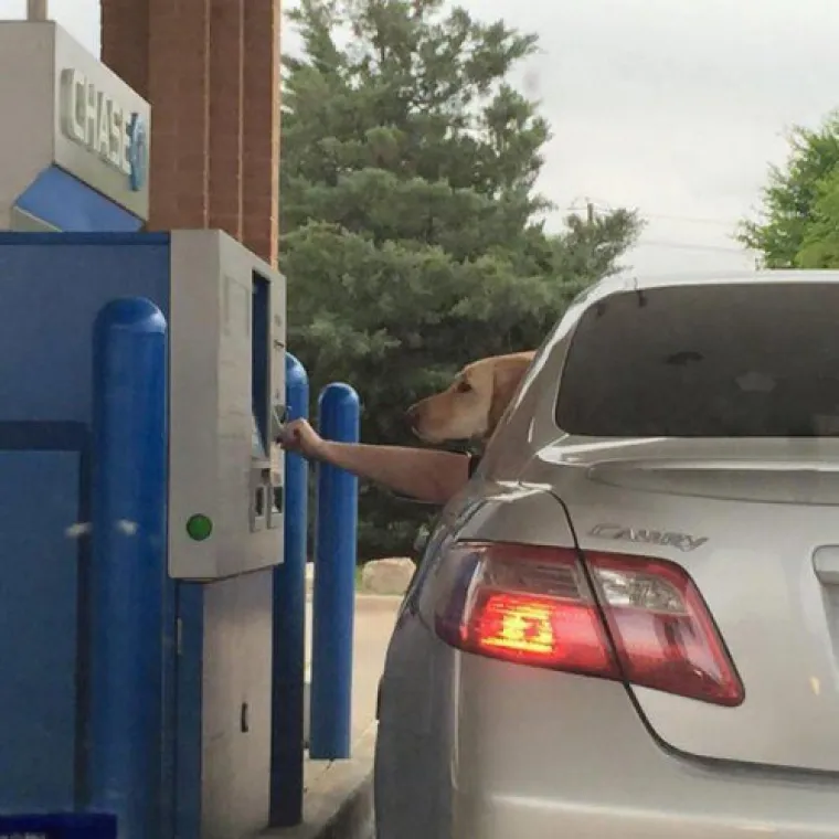 Neke životne trenutke vrijedno je zabilježiti zauvijek, no tu su i oni zabilježeni sasvim slučajno koji mogu biti još genijalniji.